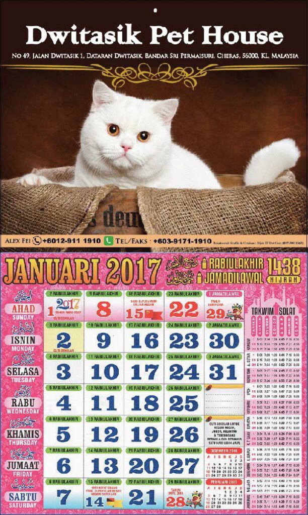 494538005_3799418600370241_29136741748821061_n